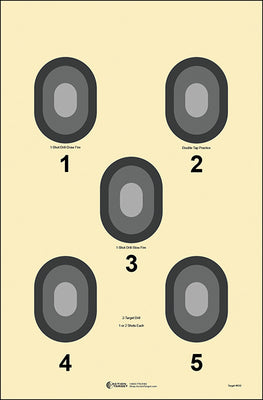 Action Target 5 Bull's-Eye Target