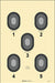 Action Target 5 Bull's-Eye Target