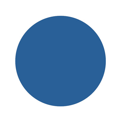 Action Target PT Scout Target Circle - 12" (AR500)