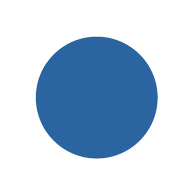 Action Target PT Scout Target Circle - 10" (AR500)