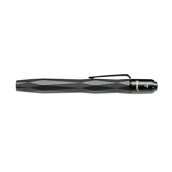 ASP Raven-C 250 Lumens Flashlight