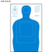 Action Target US Dept. of Energy TQ-15 Qualification Target (Blue)