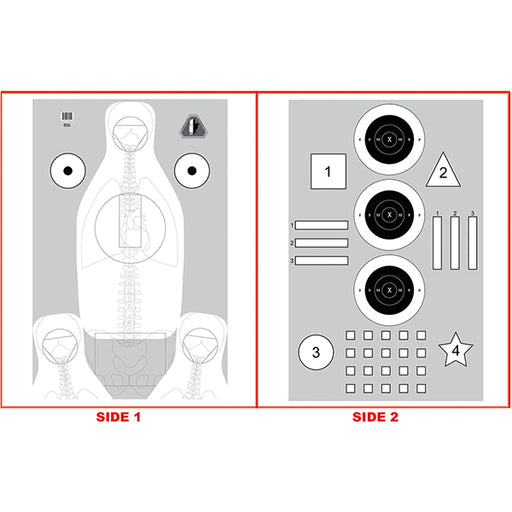 Action Target Elishewitz 2 Sided Defensive Training Target Version 2