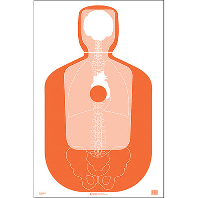Action Target Randolph Co (NC) Sheriff TQ-19 Qualification Target w/ Vital Anatomy