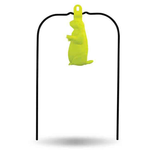 ACTION TARGET Birchwood Casey Prairie Chuck Target