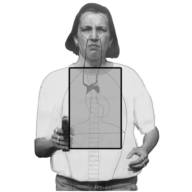 ACTION TARGET Illinois State Police Basic Trng Target