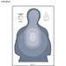 Action Target FLETC Transitional Target II
