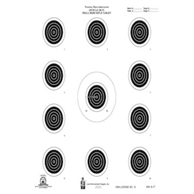 Action Target Official NRA Small Bore Rifle 50-Foot 4 Position Target (A-17)