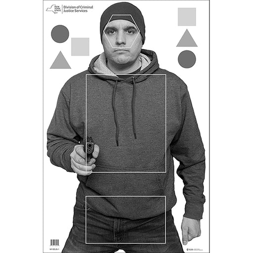 Action Target NYS Division of Criminal Justice Services Target