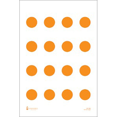 Action Target US Coast Guard 100-Yard target