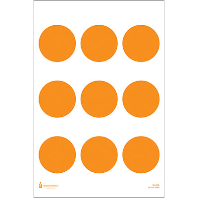 Action Target US Coast Guard 200-Yard target